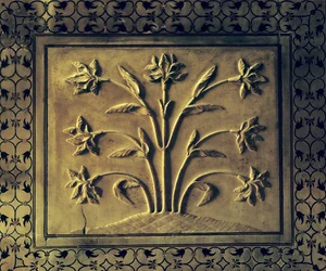 Flowering plant (detail)